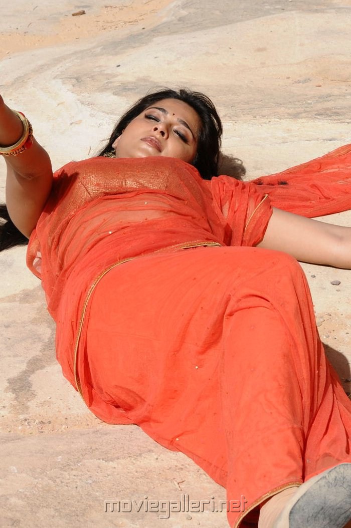 ragada_anushka_hot_saree_pics_0945.jpg