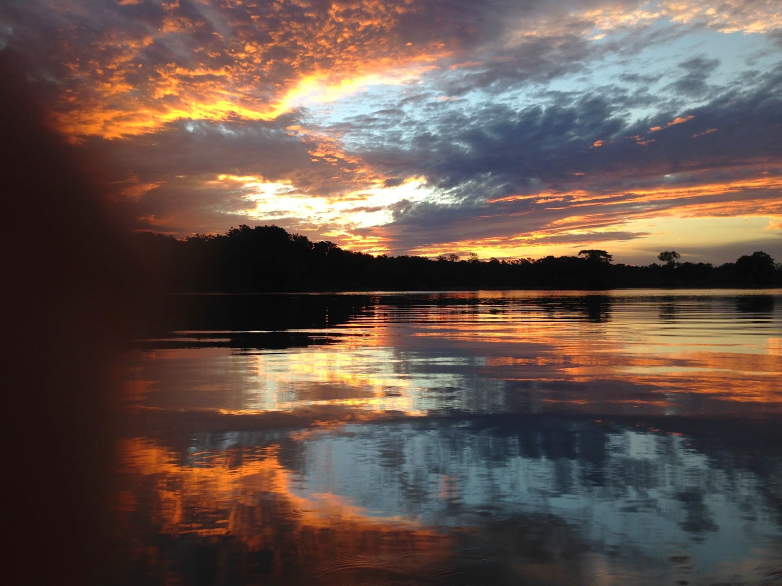 Malinin Gezileri Brezilya Amazonia Manaus 26 07 2014