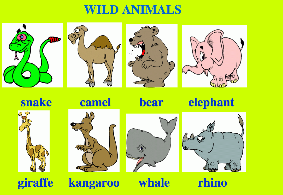 Английский 2 класс тема животных. Животные на английском языке. Животные на английском для детей. Животные нкаанлийском. Животные названия на английском.