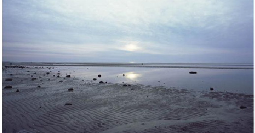 Love, Sex Aur Dhokha