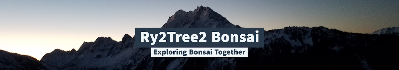 Ry2Tree2 Bonsai Blog
