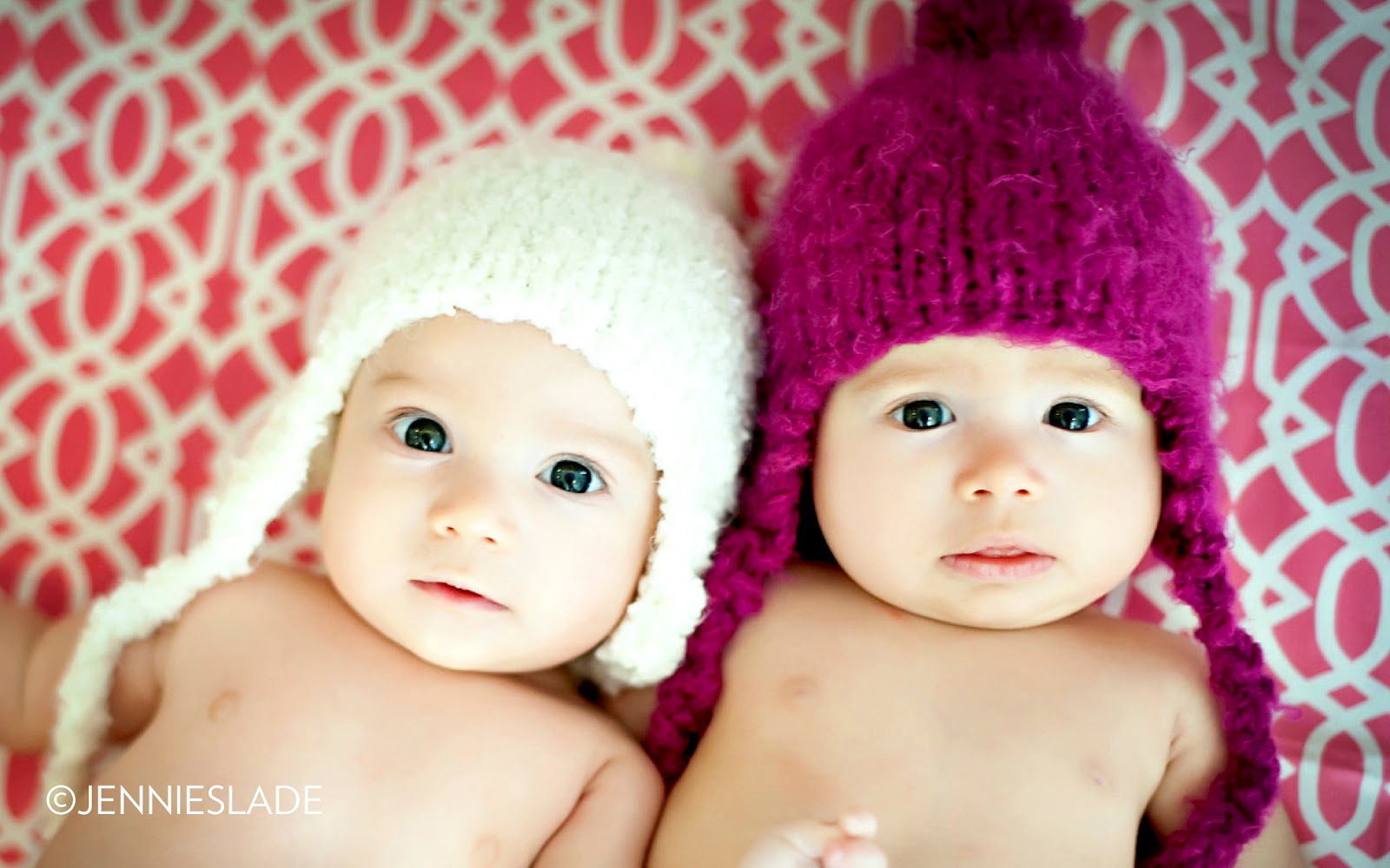 Free Picture photography,Download Portrait Gallery cute twin babies