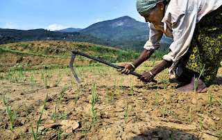 Government Extends Crop Loan Benefits to Farmers Till 31st May 2020