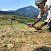 Government Extends Crop Loan Benefits to Farmers Till 31st May 2020