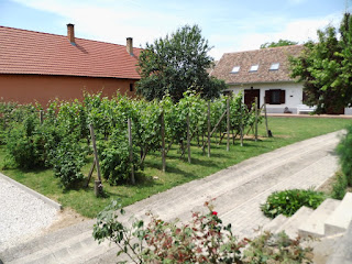 Bed and Breakfast in Hongarije