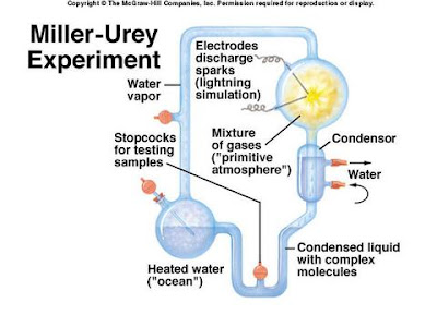  Miller urey Experiment