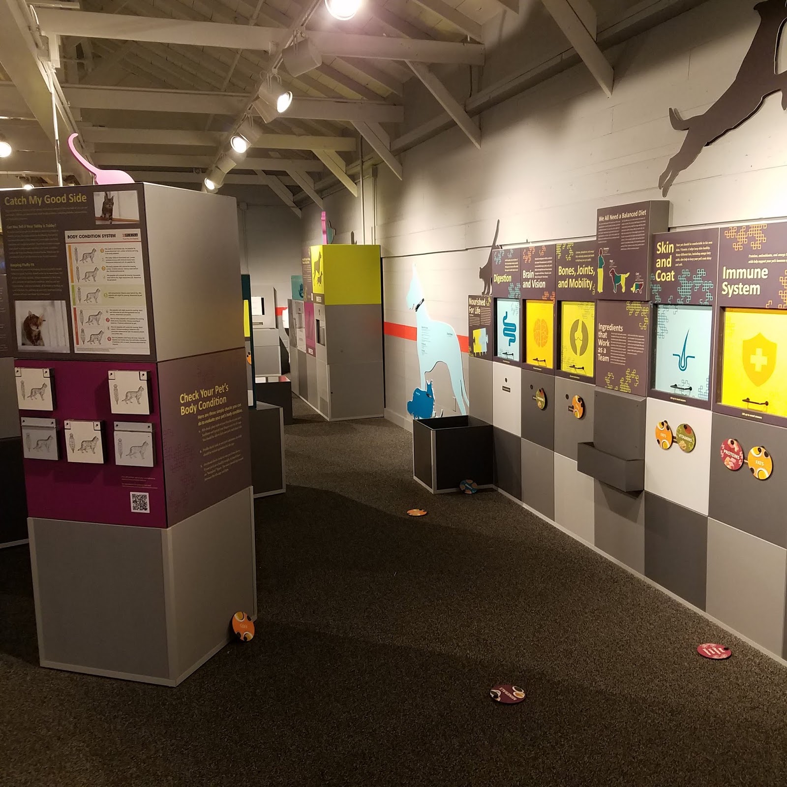 Play St. Louis Purina Farms, Gray Summit