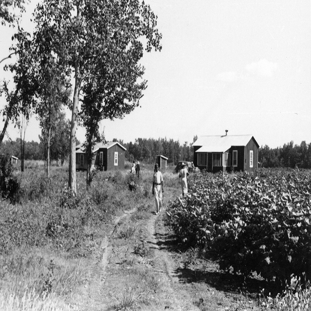 mississippi delta blues hill country bluex mississippi delta blues hill country bluex