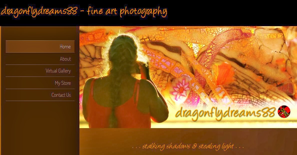 Dragonflydreams88.com