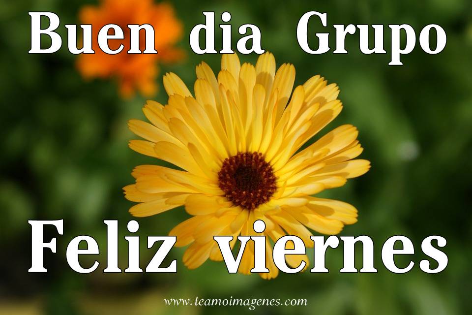 Resultado de imagen de buen viernes grupo