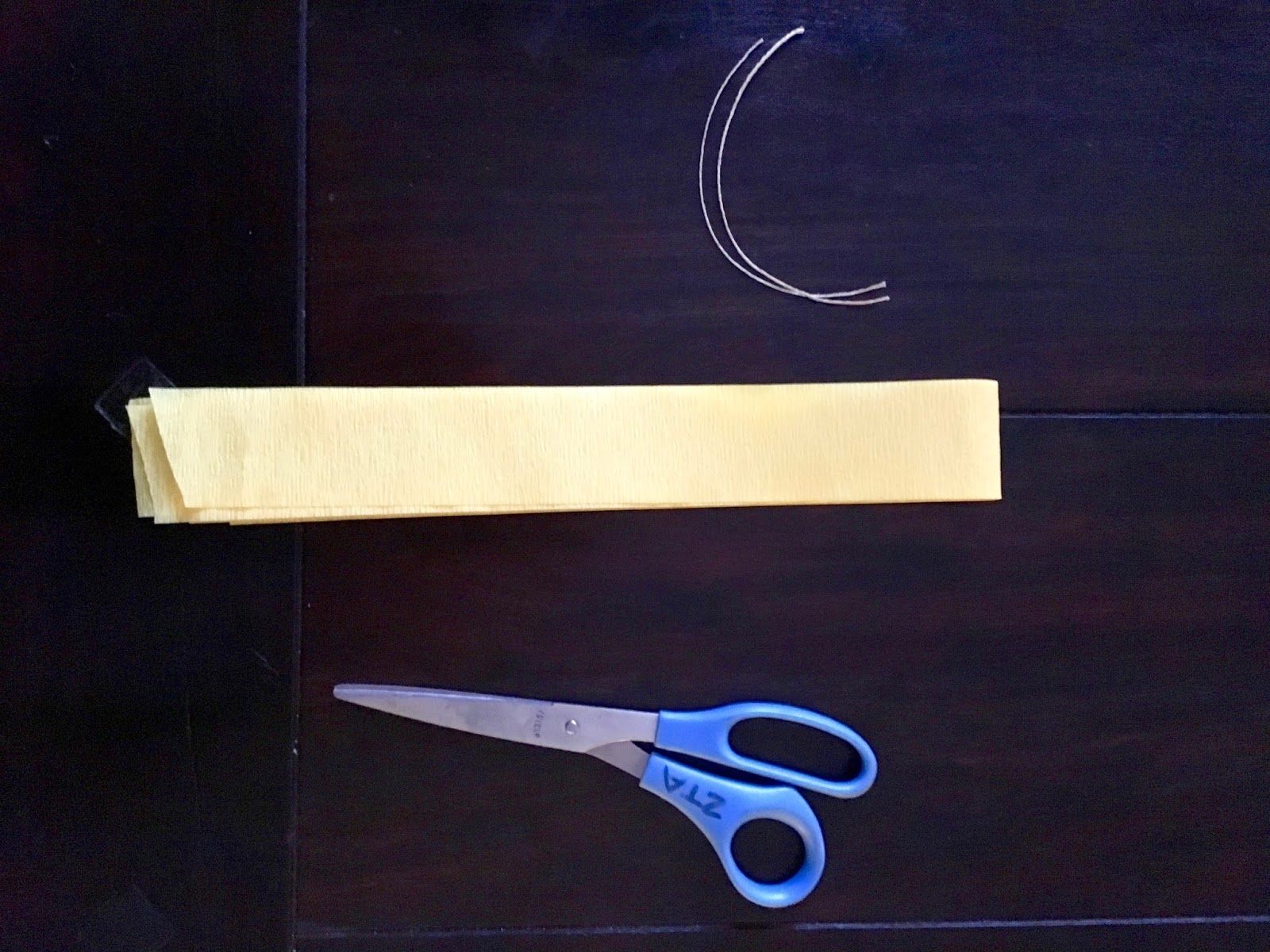 Crafty Texas Girls DIY Crepe Paper Tassel Garland