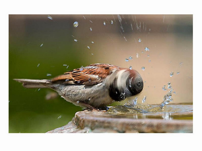 اجمل الصور اجمل الصور