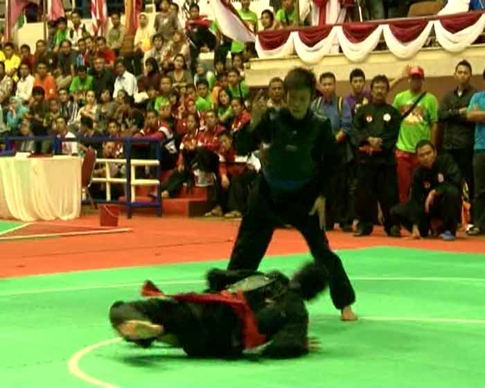 14th World Championship Pencak Silat Martial Art Philippines (7)