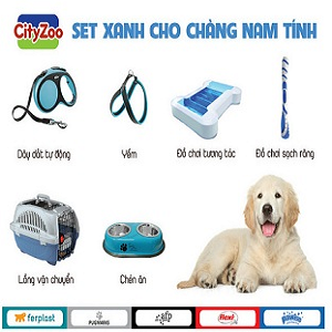 Dog Supplies [Phụ Kiện Cho Chó]