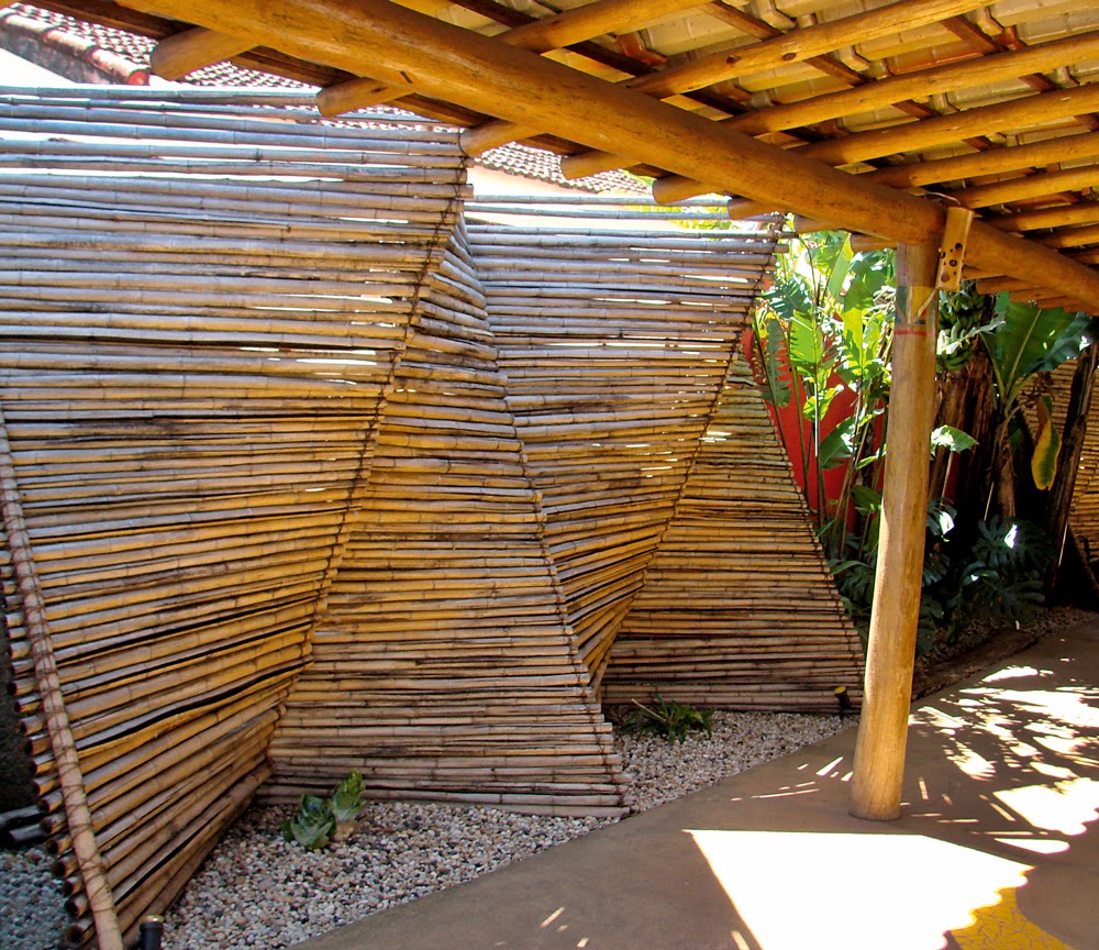 Bambú una opción ecológica