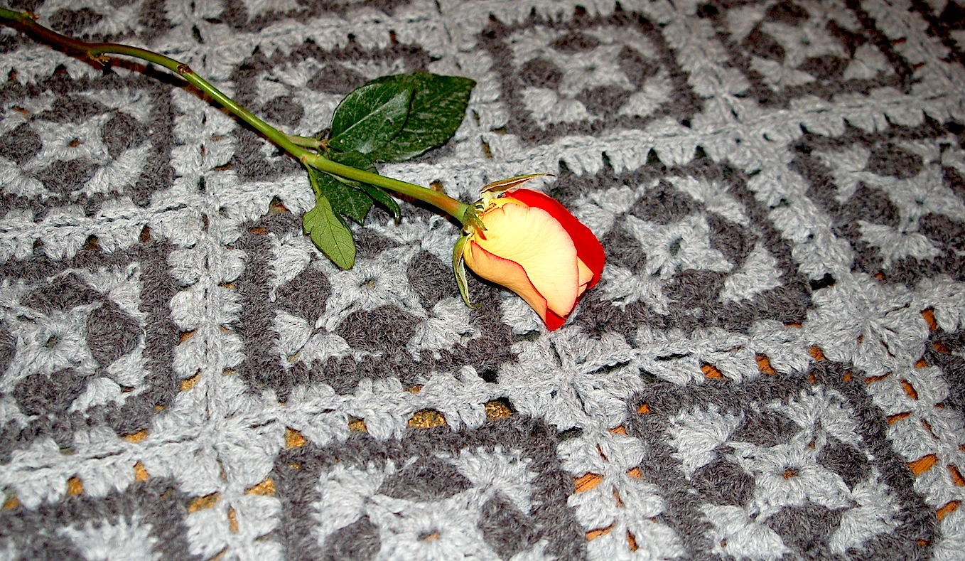 Learn how to crochet VERY NICE WORM BLANKET