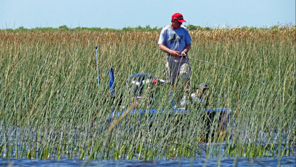 Derek Herring Fishing Guide To Aquatic Vegetation