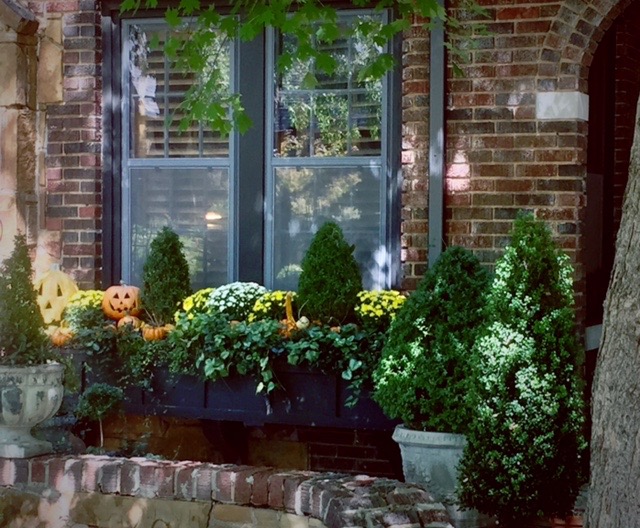 Large boxwood in concrete pots accompany the window box and add to the lush effect.