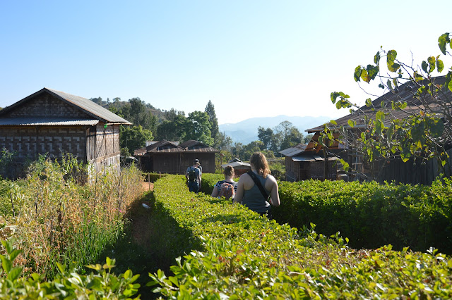 Village alentours de Kalaw