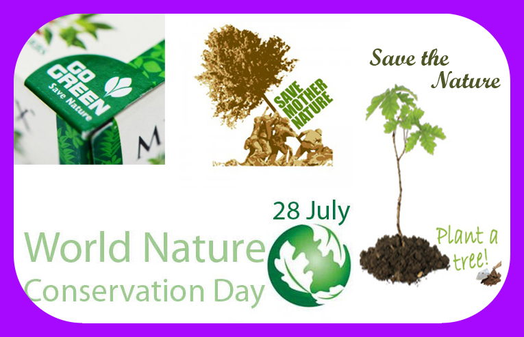 world conservation union essay Learn all about tree conservation & view topiarytreenet resources here tree conservation can you imagine a world without trees there would be no shade,. world conservation union essay Learn all about tree conservation & view topiarytreenet resources here tree conservation can you imagine a world without trees there would be no shade,.