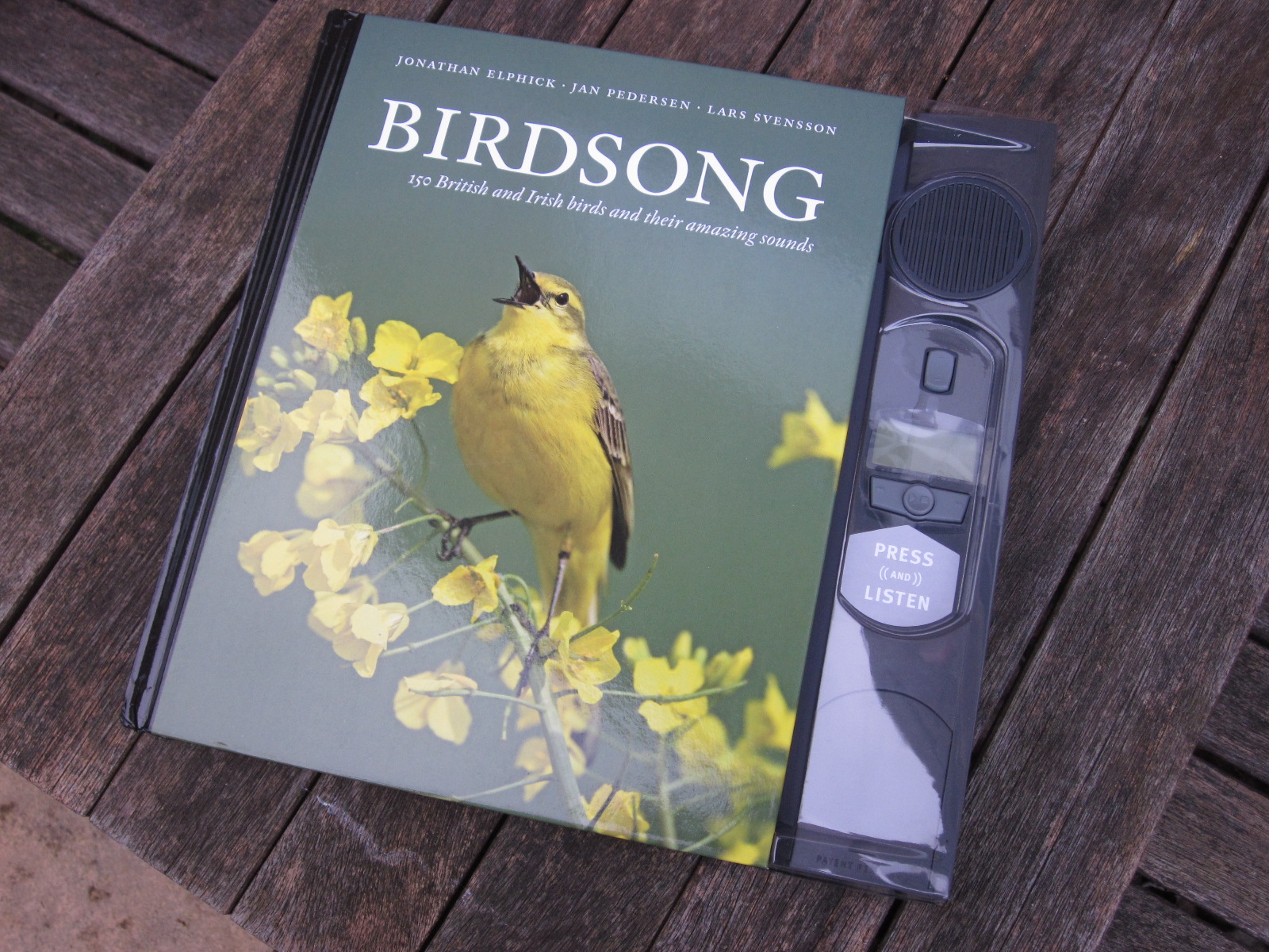 Book Review Birdsong