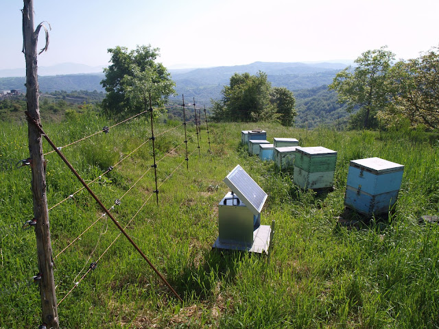 Έναρξη υποβολής αιτήσεων για αγορά και εγκατάσταση ηλεκτροφόρων περιφράξεων