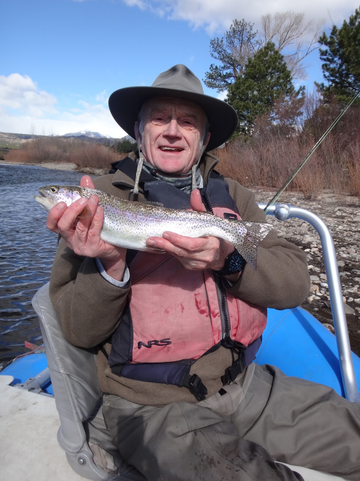 Fish Spotter W0nderful Day