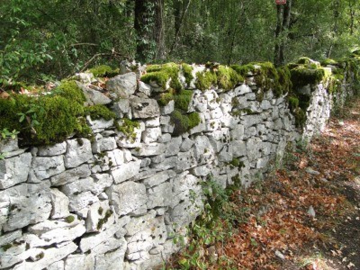 Just Sayin' Lessons and stone walls