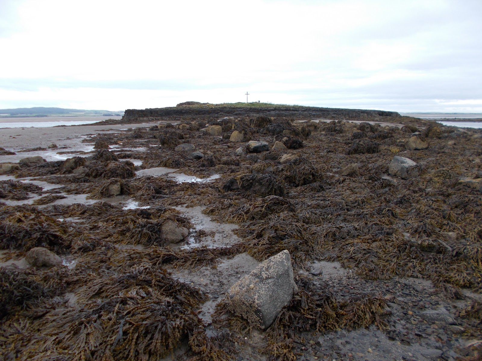 A lifetime of Islands Island 463 St Cuthbert's Isle, Lindisfarne