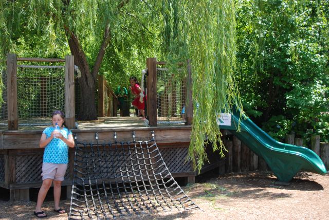 The slide platform was build right around an existing willow tree.  