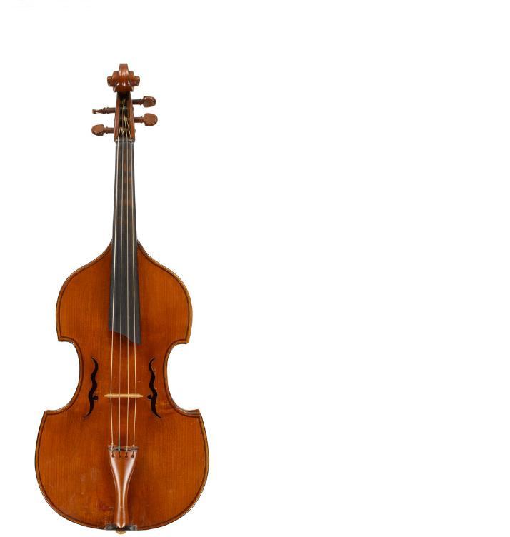 Amore e simpatia alla scoperta della Viola d'Amore Four strings viola d'amore by Vincenzo