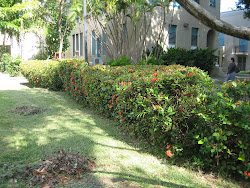 UPR  IN FRONT OF THEATER