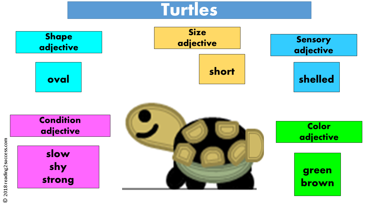 Reading2success: Introduce shape, size, sensory, condition and color