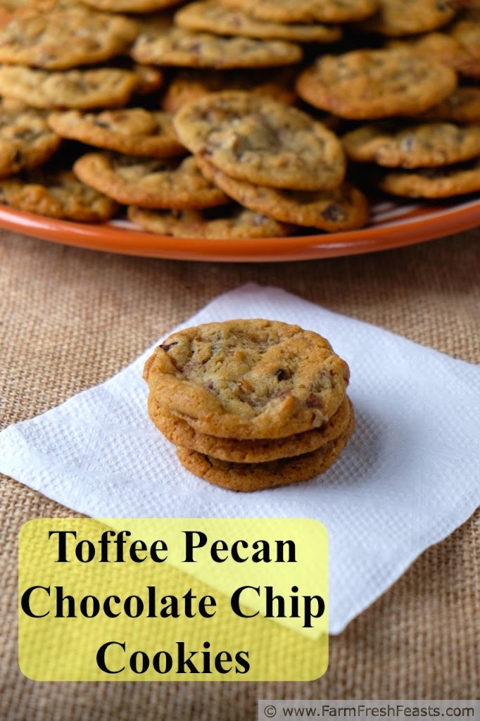 http://www.farmfreshfeasts.com/2014/12/toffee-pecan-chocolate-chip-cookies.html
