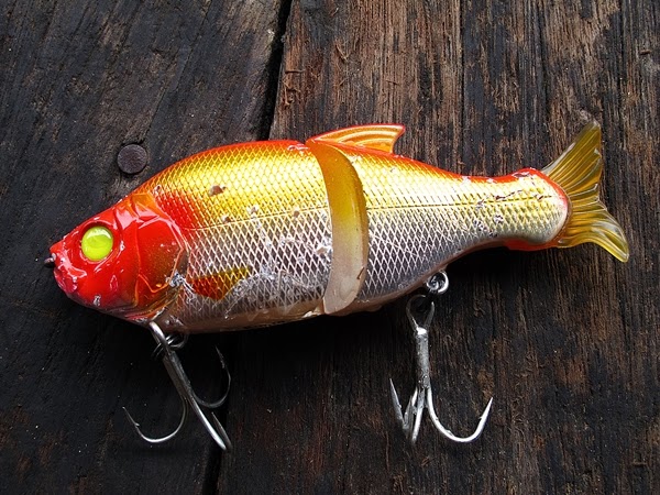 ANGLING WORLD 魔魚釣界: The Exotic Amazon Game Fish - Aimara