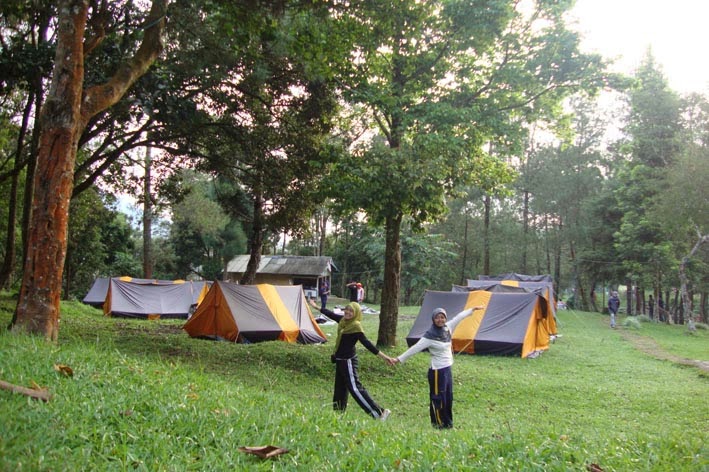 Mandalawangi Cibodas Camping Ground: Tempat Camping di ...
