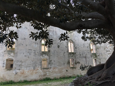 Views of Castello di Donnafuggata including large banyan tree. 