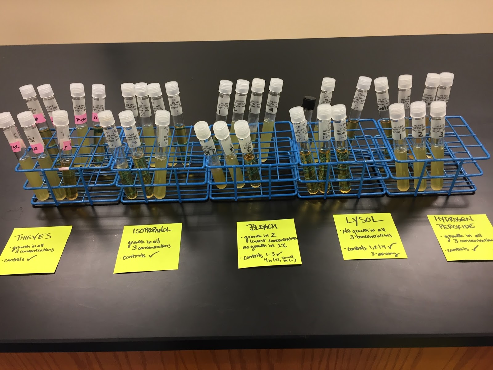 Theory & Practice from Lab to Lifestyle Testing Germicides
