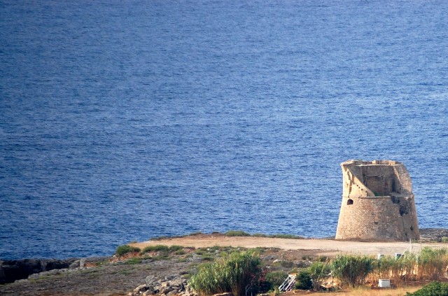 Dissertation tips image