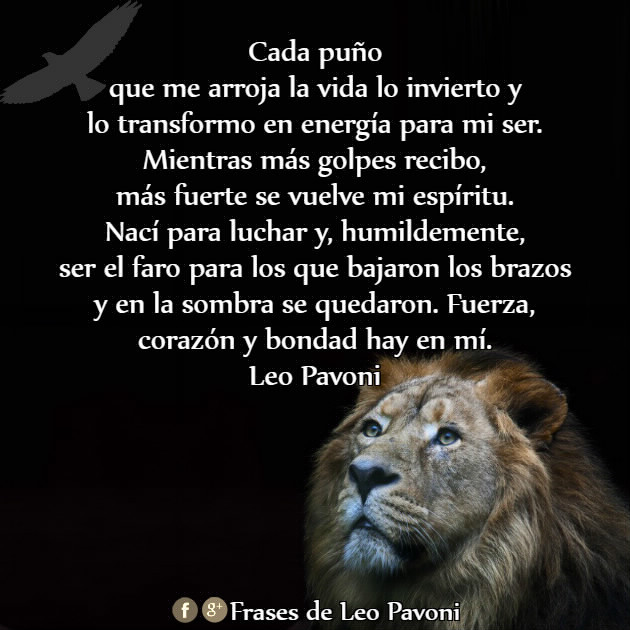 Resultado de imagen de LEO PAVONI