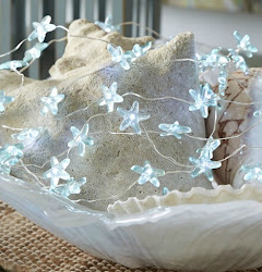 string lights beach starfish nautical coastal mood pier glimmer decorative