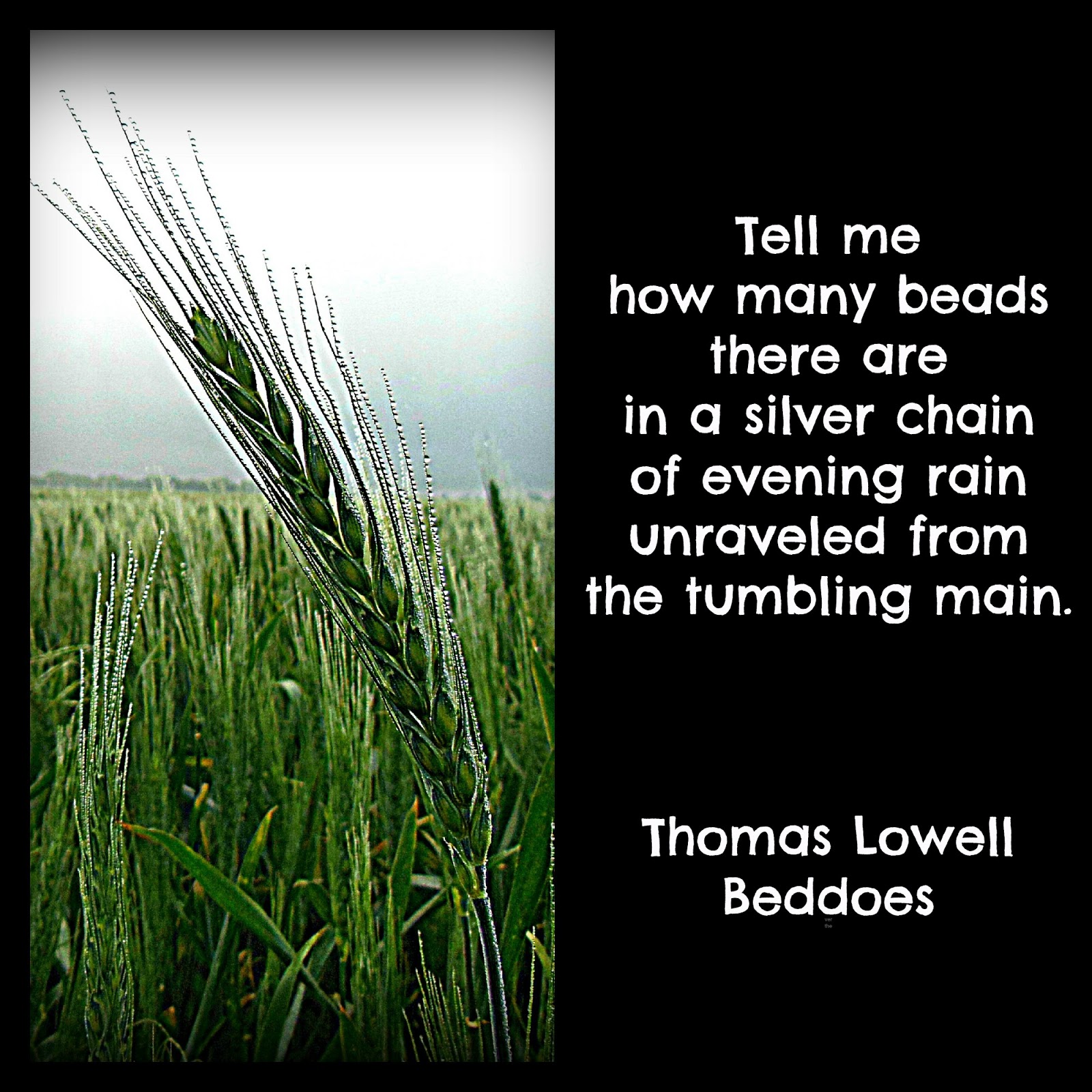 Kim's County Line Rain Reigns