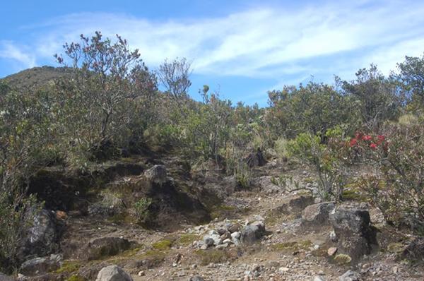 Pasar Setan Gunung Lawu Pasar Setan Gunung Lawu