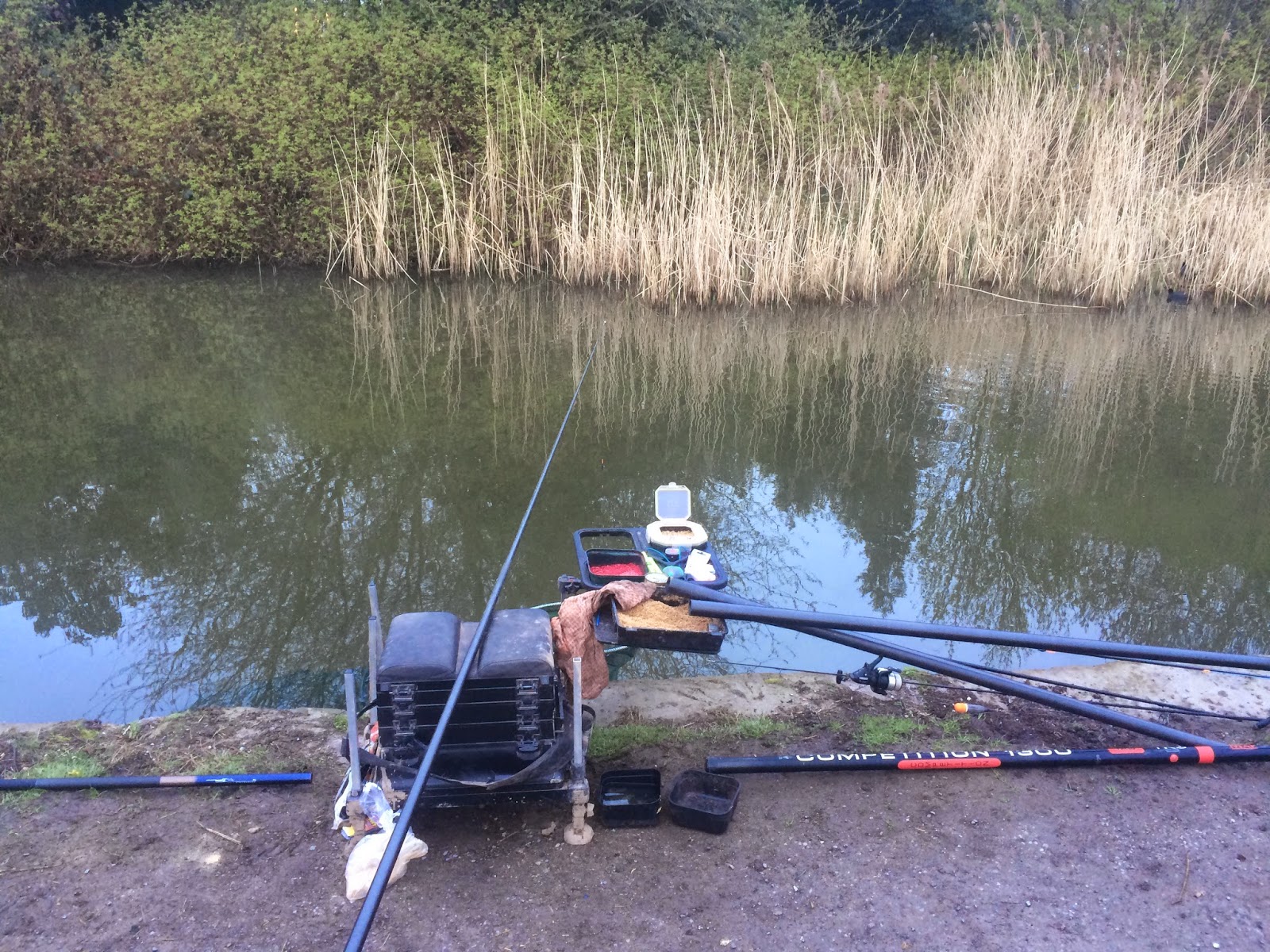 Danny's Angling Blog Pond and Bridgewater Canal Fishing plus All Change...