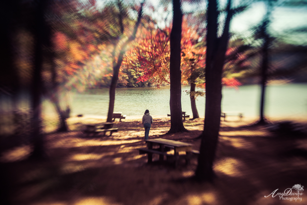 Capture My World Fall in Morton Park, Plymouth, MA.