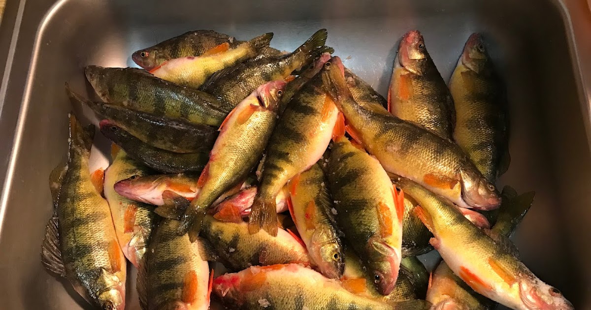 Rollin' With The Flow Ice Fishing at Eagle Nest, NM