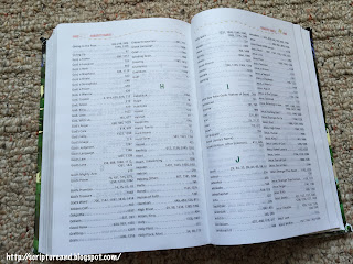 NKJV Adventure Bible | scriptureand.blogspot.com