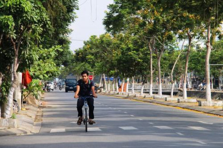 Sắc hoa vàng Đà Nẵng - Ảnh 4 Sac hoa vang Da Nang - Anh 4