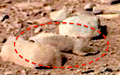 strange,+odd,+real,+mars,+rover,+curiosity,+rat,+rodent,+animal,+life,+surface,+ufo,+sighting,+space,+top+secret,+dont+tell+others..png