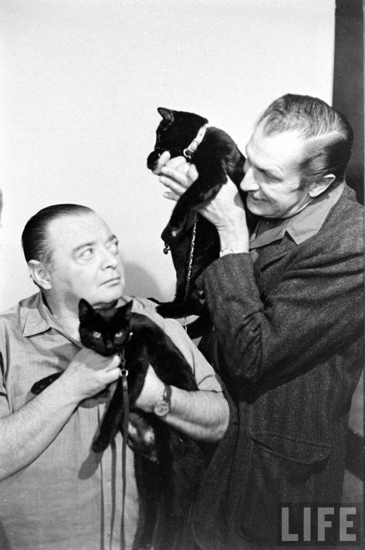 men holding cats, men wearing cats
